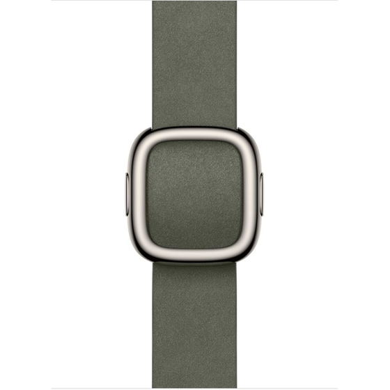 Λουράκι Apple Modern Buckle L για Apple Watch 42mm - Sage Grey image 0