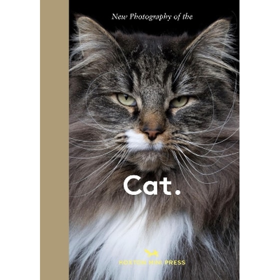 New Photography of the Cat. image 0