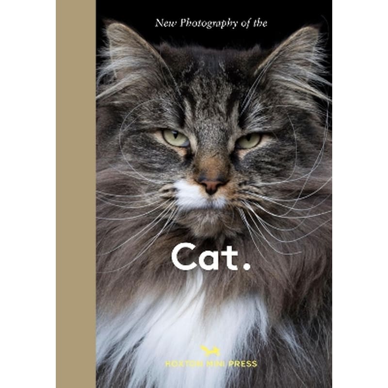 New Photography of the Cat.