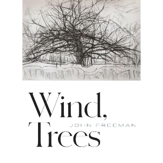 Wind, Trees image 0