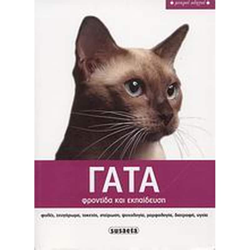 Γάτα