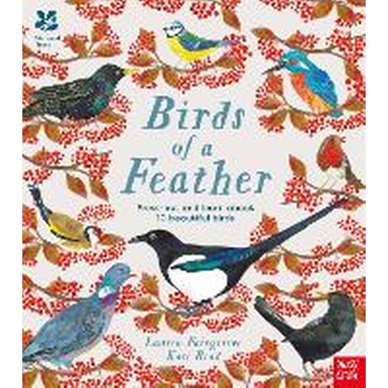 National Trust: Birds of a Feather: Press out and learn about 10 beautiful birds