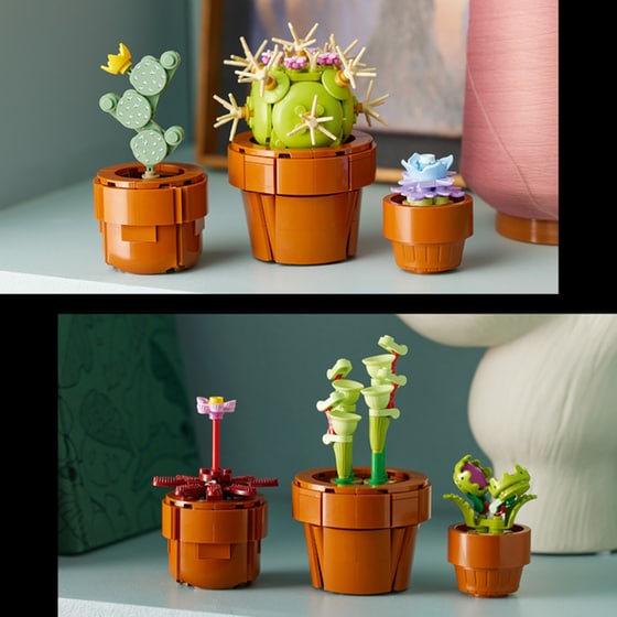 LEGO® Icons Tiny Plants (10329) image 17