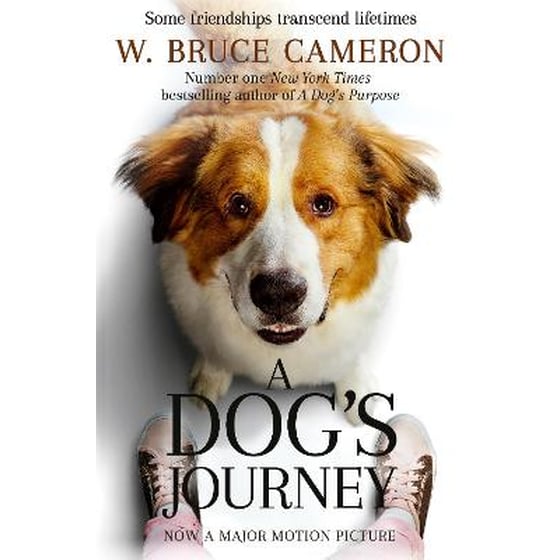 A Dog's Journey image 0