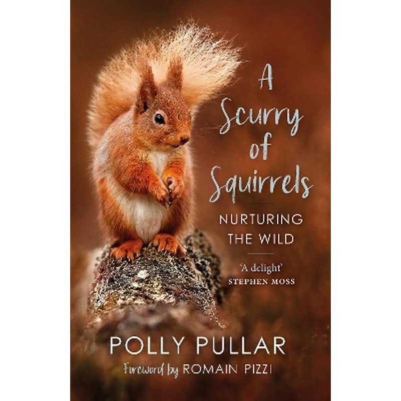 A Scurry of Squirrels