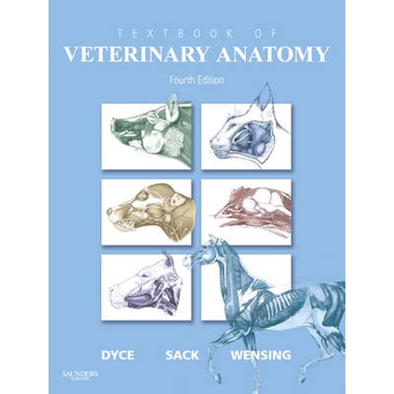 Textbook of Veterinary Anatomy image 0