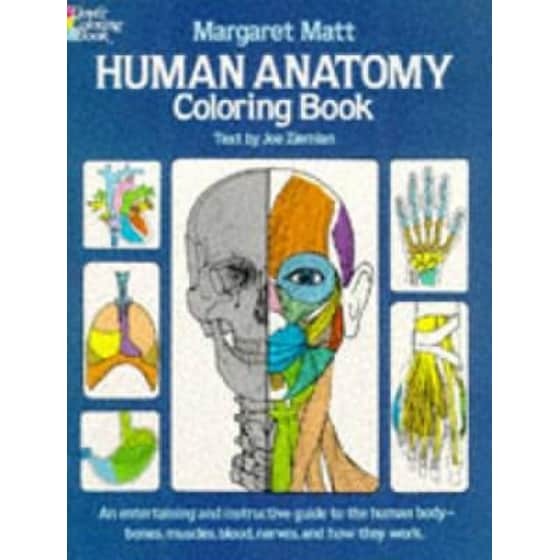 Human Anatomy image 0