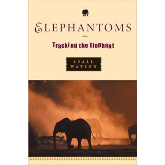 Elephantoms image 0