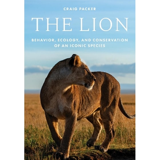 The Lion image 0
