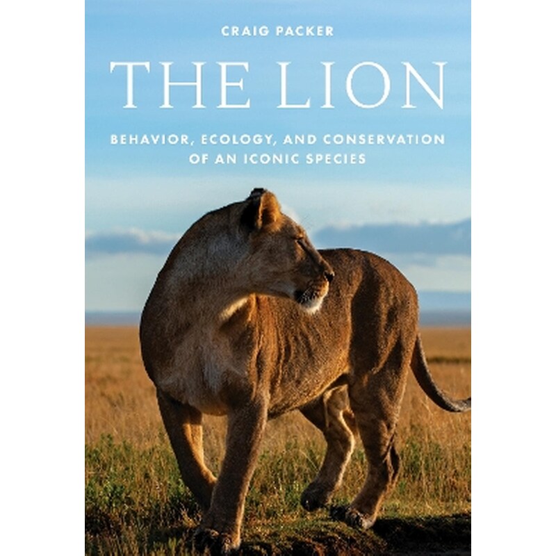The Lion