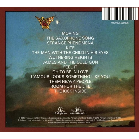 The Kick Inside (2018 Remaster) image 4