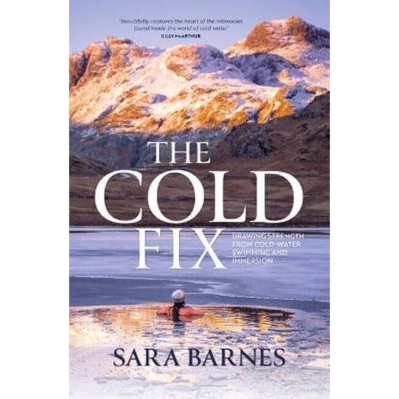 The Cold Fix image 0