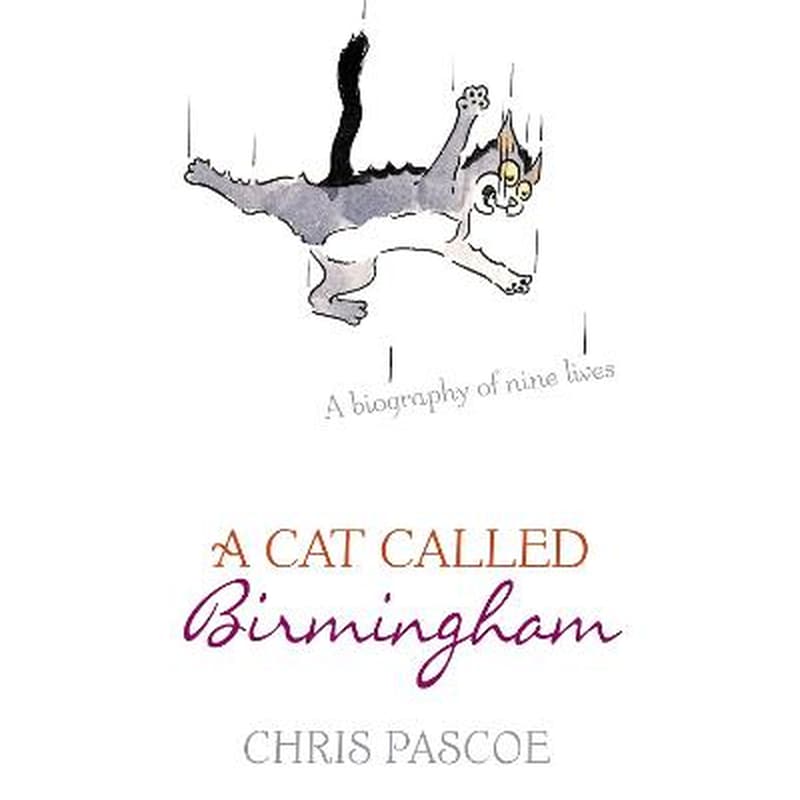Cat Called Birmingham