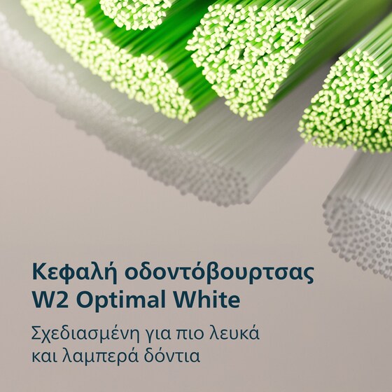 PHILIPS HX4033/32 Ηλεκτρική Οδοντόβουρτσα Μαύρο image 12