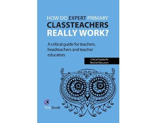How do expert primary classteachers really work? image 0