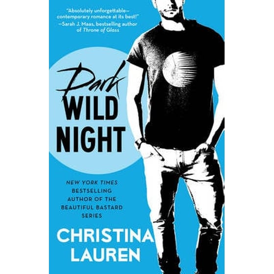 Dark Wild Night image 0