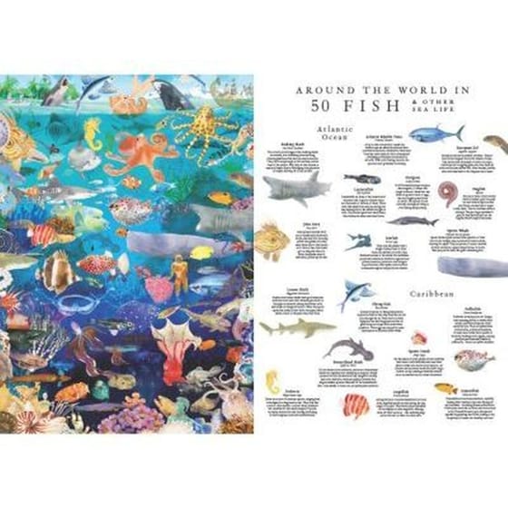 Around the World in 50 Fish image 2