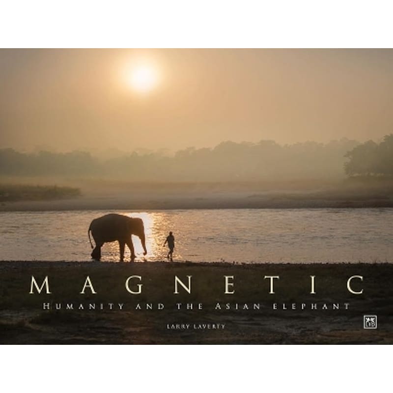 Magnetic