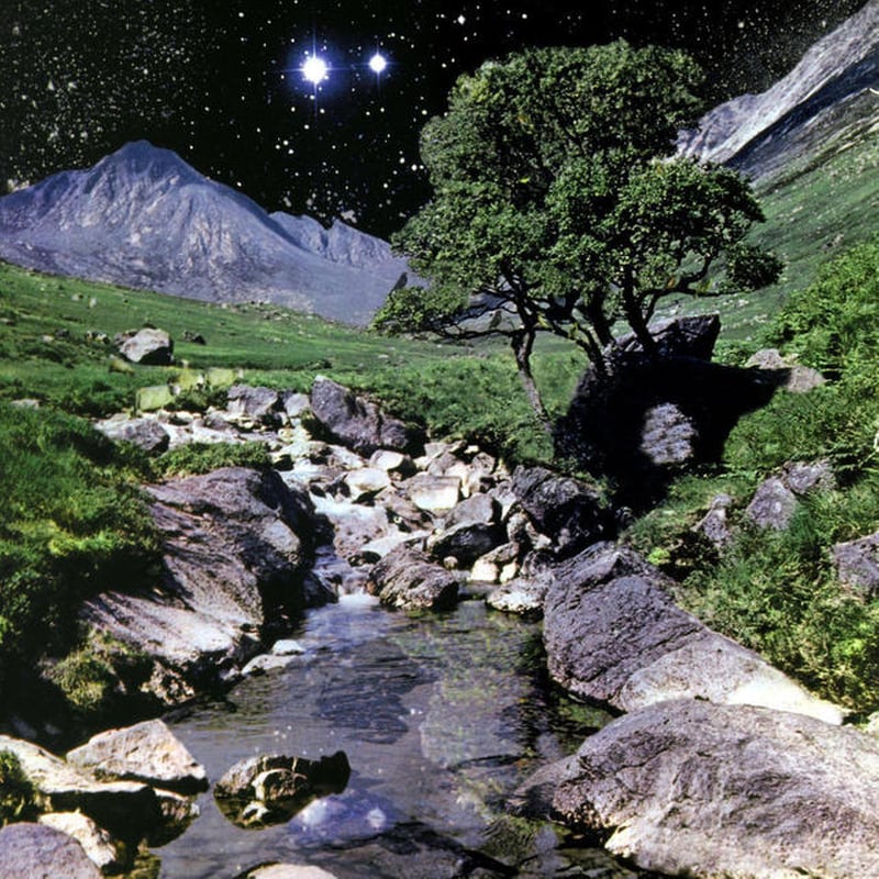 The Beta Band (LP + Bonus CD)