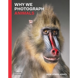 Why We Photograph Animals