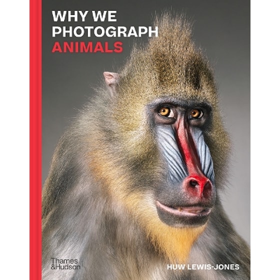 Why We Photograph Animals image 0