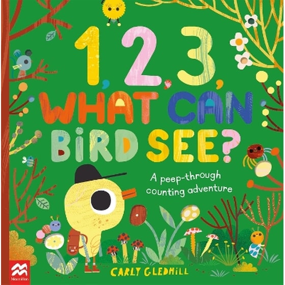 1, 2, 3, What Can Bird See? image 0