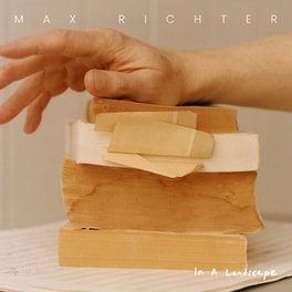 In A Landscape (2LP)