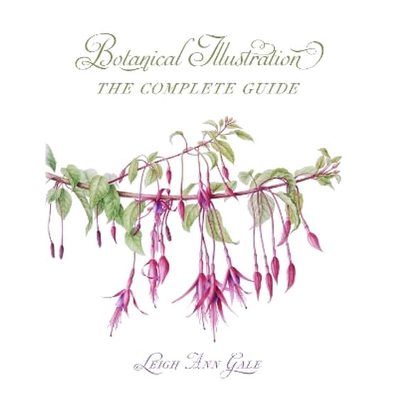 Botanical Illustration image 0