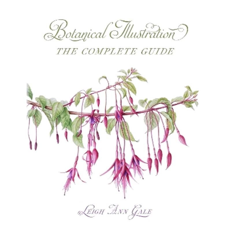 Botanical Illustration