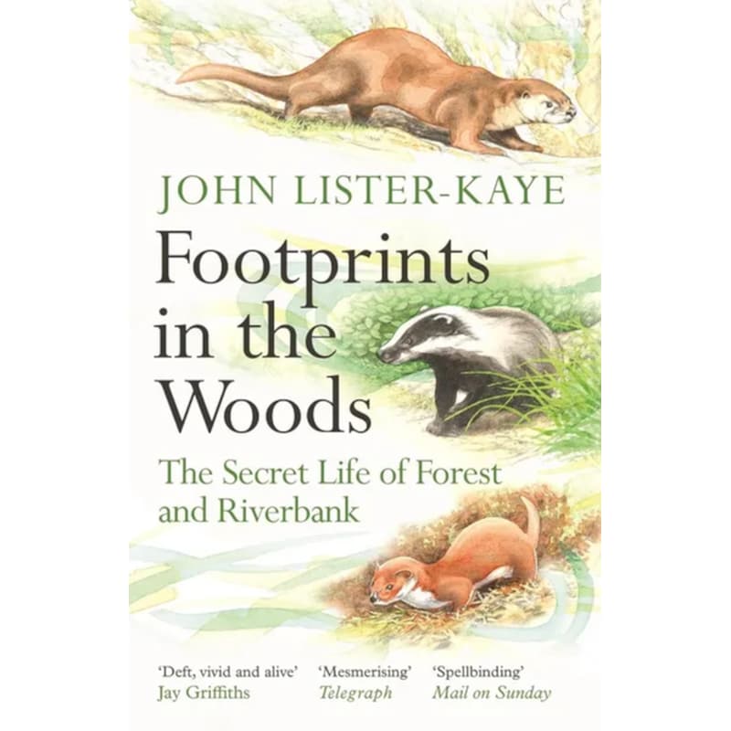 Footprints in the Woods