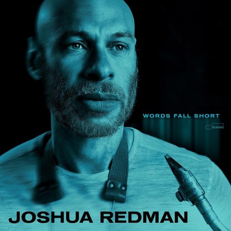 Words Fall Short (CD)