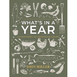 What's in a Year