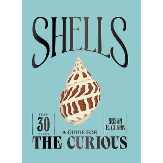 Shells image 0