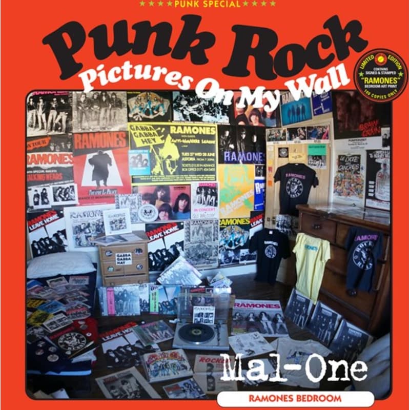 Punk Rock Pictures On My (LP 12)