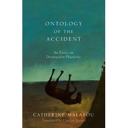 Ontology of the Accident - An Essay on Destructive  Plasticity