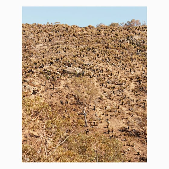 Palimpsests (LP) image 0