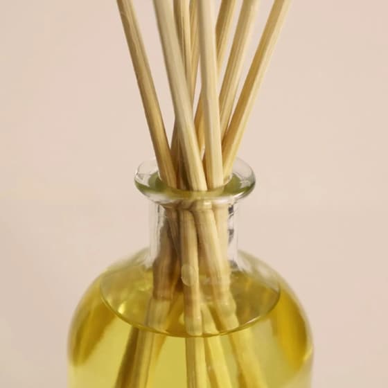 Diffuser Ambientair The Olphactory Verbena 100ml - Further image 3