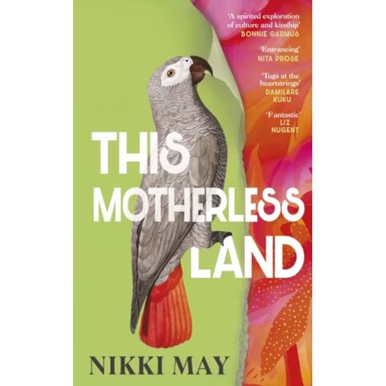This Motherless Land image 0