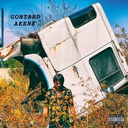 Akene (LP)