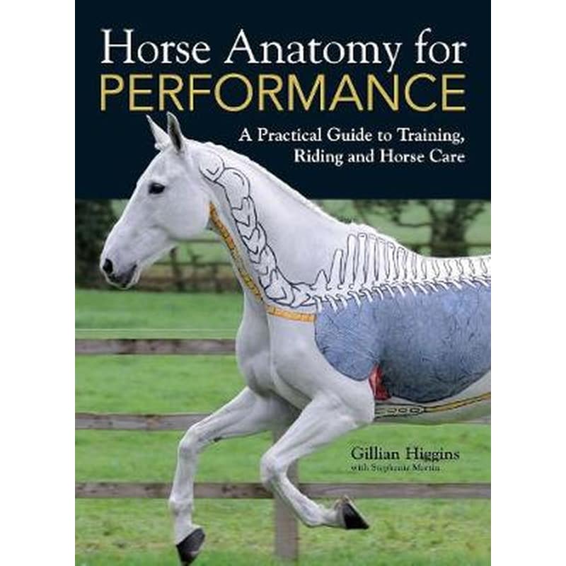 Horse Anatomy for Performance