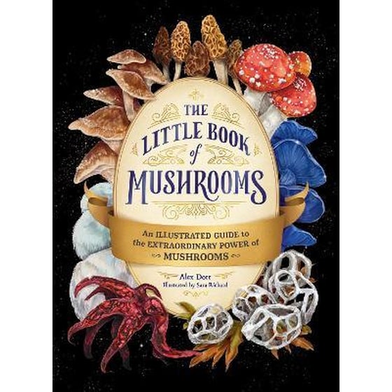 The Little Book of Mushrooms : An Illustrated Guide to the Extraordinary Power of Mushrooms image 0