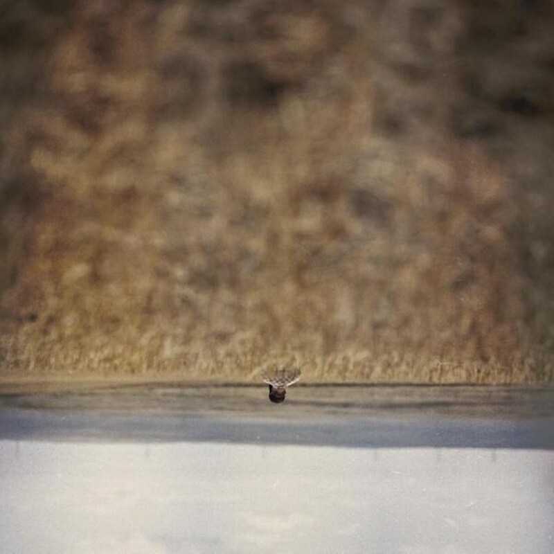 Hands That Bind - Original Motion Picture Soundtra