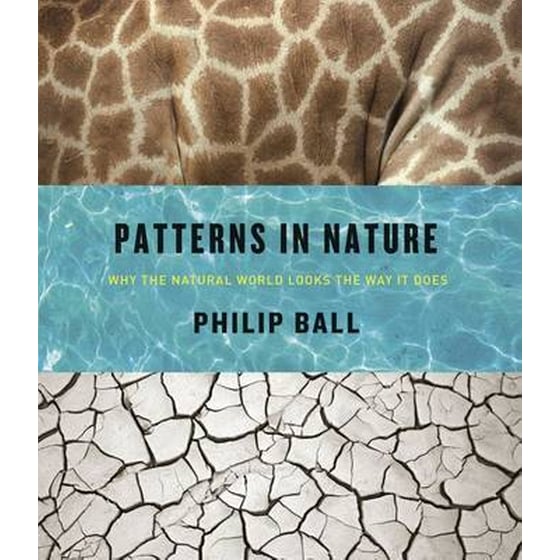 Patterns in Nature image 0