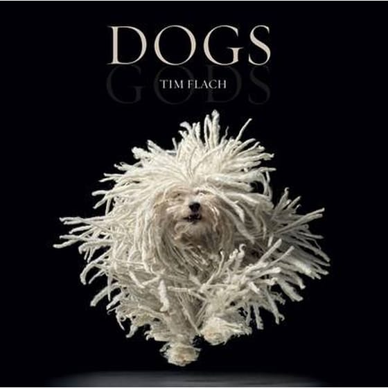 Dogs image 0