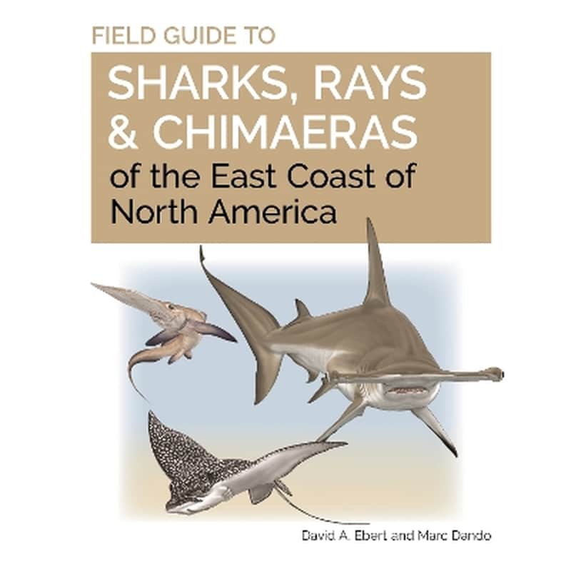 Field Guide to Sharks, Rays and Chimaeras of the East Coast of North America