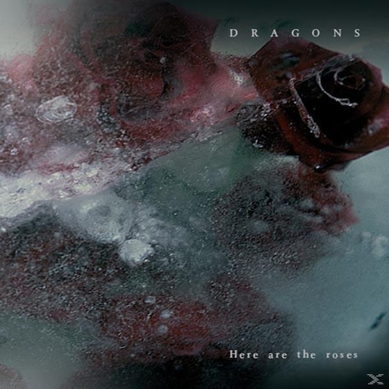 Here Are The Roses image 0