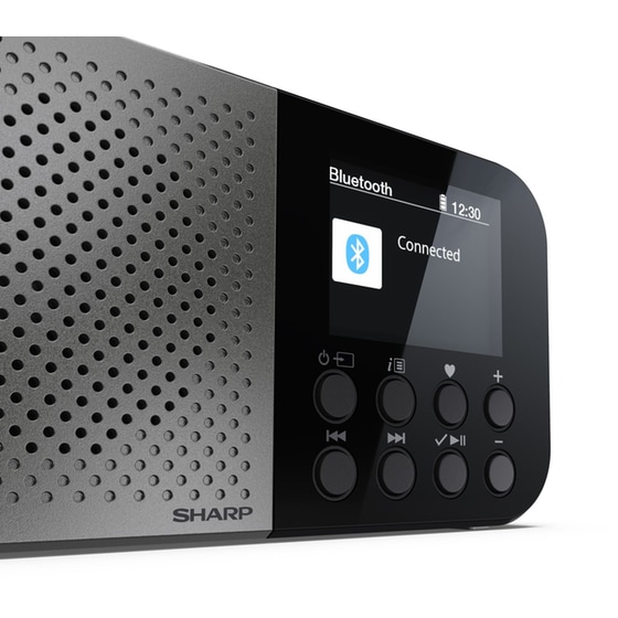 Φορητό Ράδιο Sharp DR-P520 - Γκρι image 5