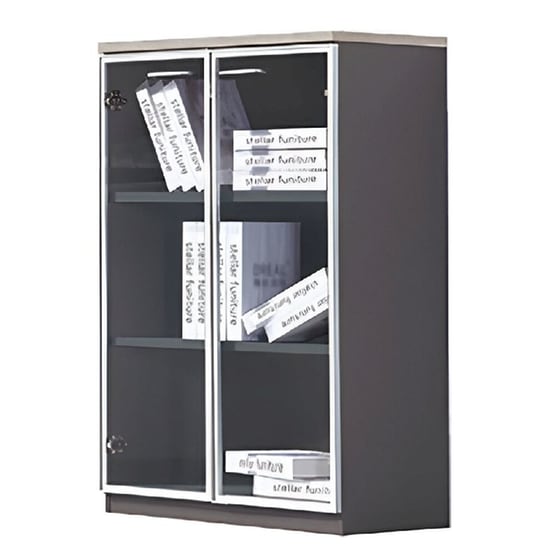 Ντουλάπα Γραφείου Woodwell με Γύαλινες Πόρτες 80x40x120cm - Γκρι image 0