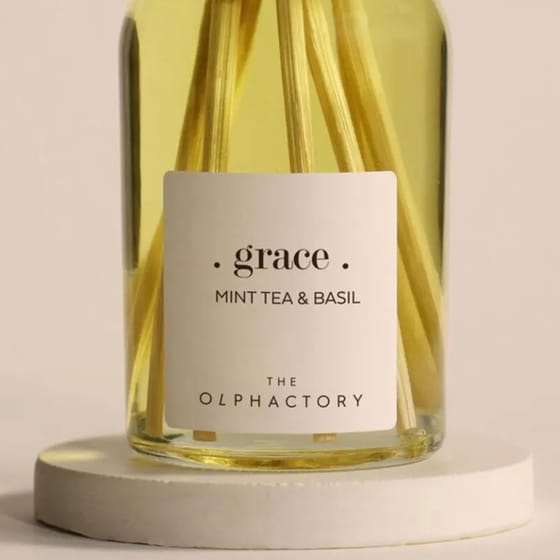 Diffuser Ambientair The Olphactory Mint Tea & Basil 100ml - Grace image 3