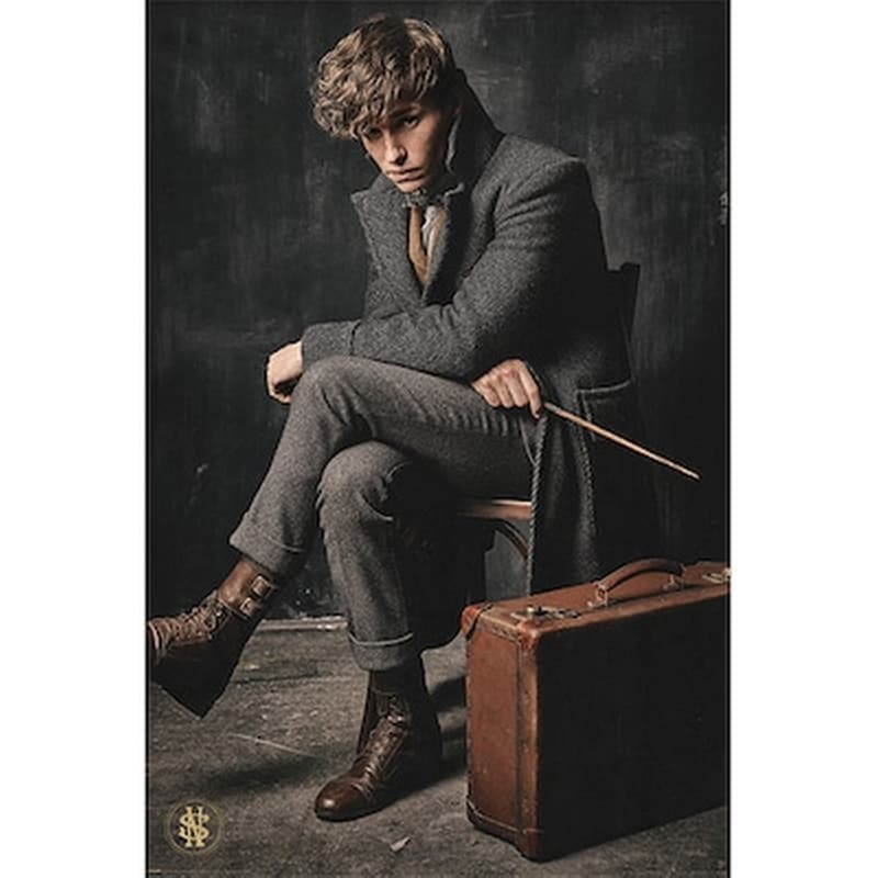 PYRAMID INTERNATIONAL Αφίσα Fantastic Beasts Newt Scamander Κάθετη 61 x 91.5 cm
